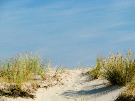 waar de blanke top der duinen ...