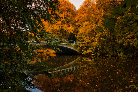 Herfst reflectie