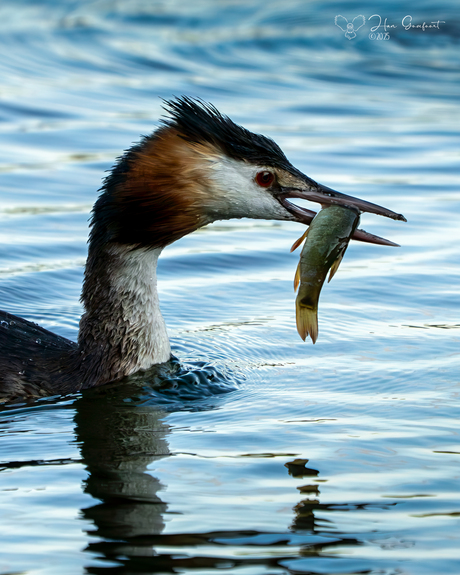 Catch of the day