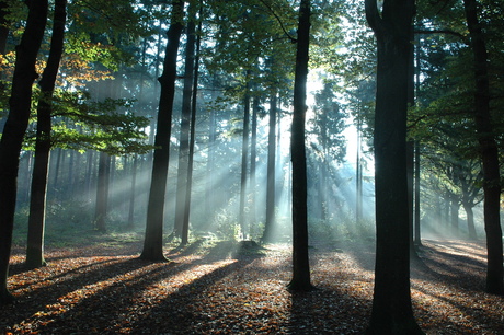 Eerste zonnestralen