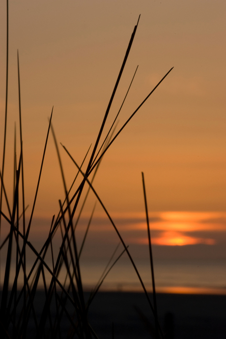 Zonsondergang Terschelling