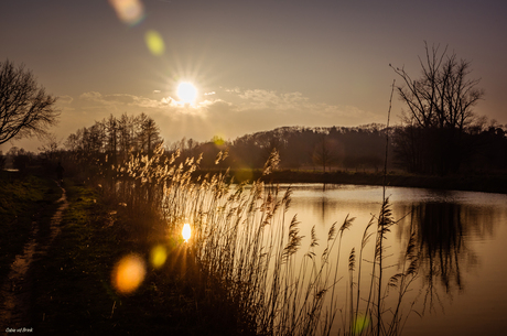 Brabants Landschap in de winterzon 2