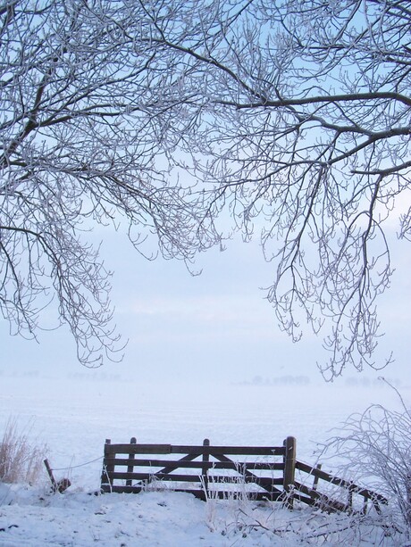 Winter in Oldemarkt