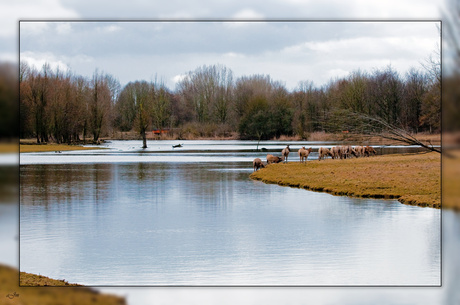 Natuurpark Lelystad