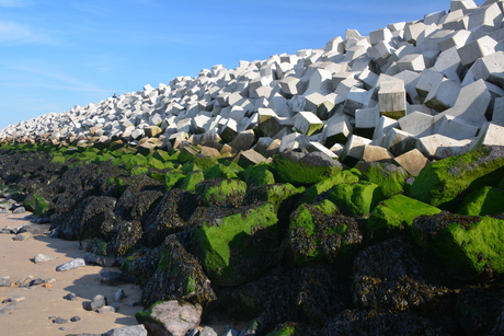 Kleurrijke havenpier