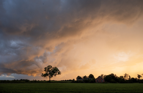 Het laatste licht voor de regen