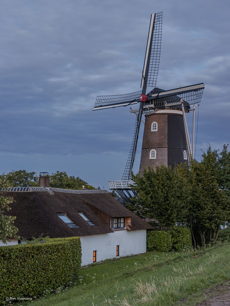 De Blauwe Reiger