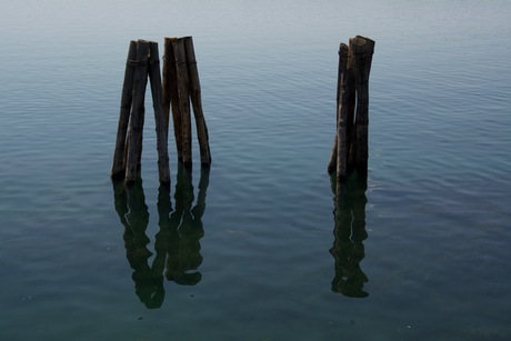 Stilleven stokken in het water