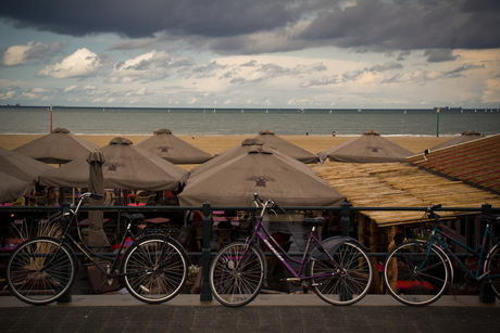 Bikes on the boulevard