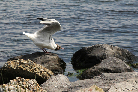 Take-off