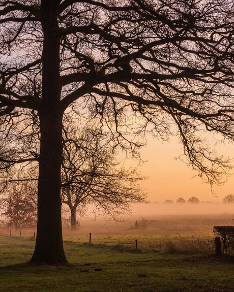 IMG_20200510_091642_695