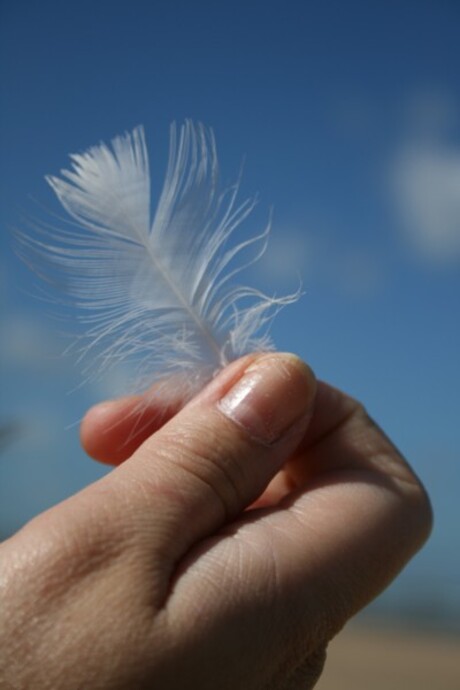 Veertje in de hand
