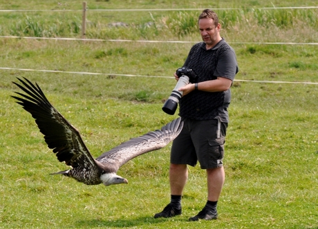 Gier buiten bereik fotograaf