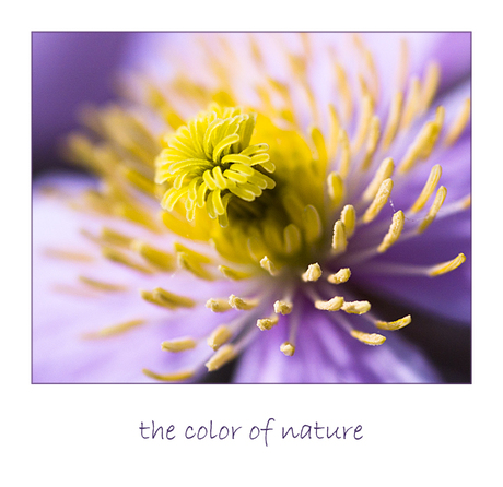 the color of nature