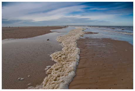 Texel