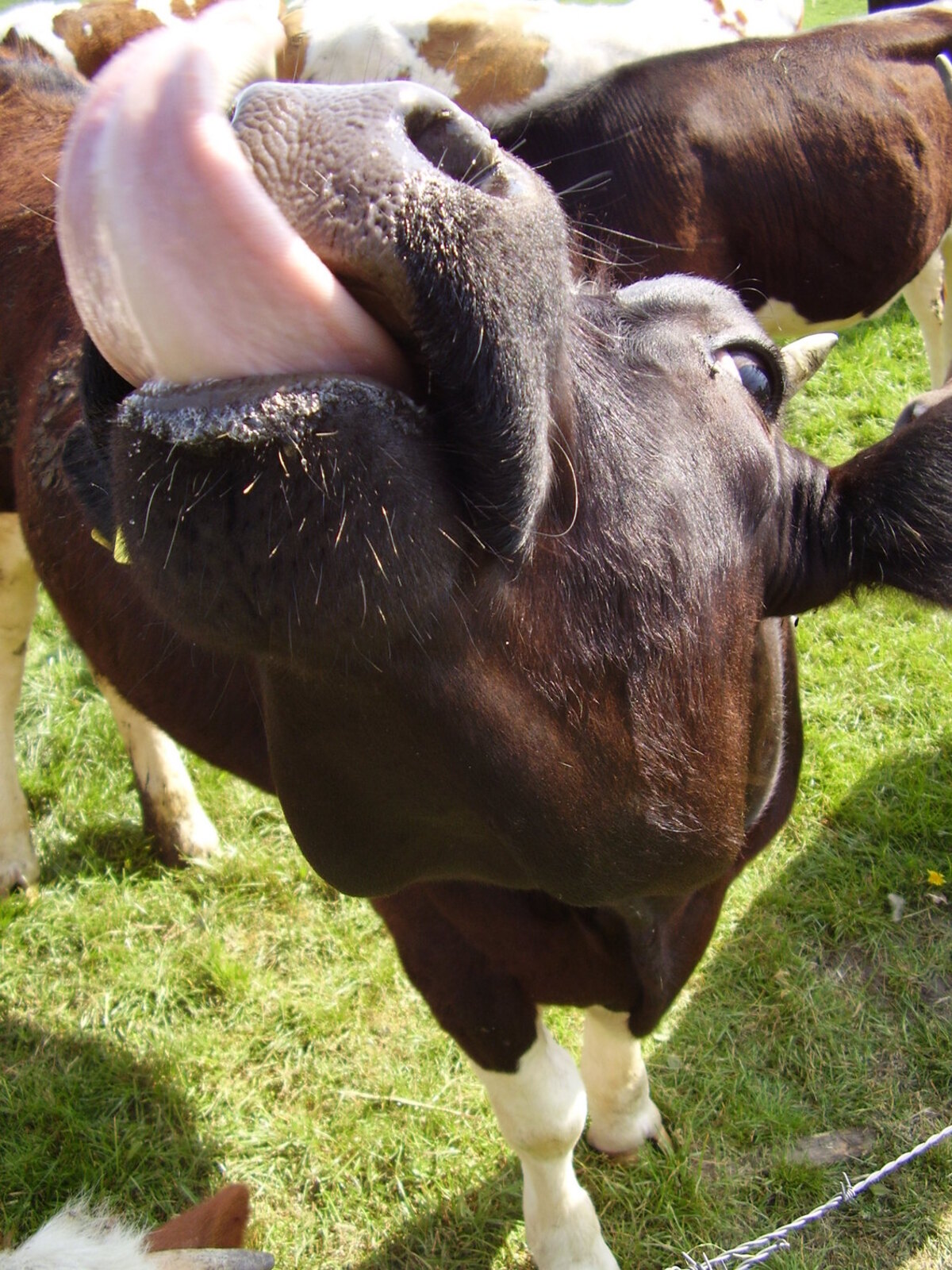 71ED607F6D37D1C514469DEE8F7D77BF-koeientong.jpg?w=1200