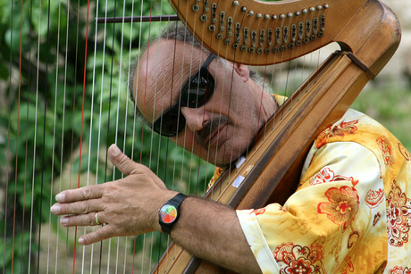 Harpist Andrea Piazza