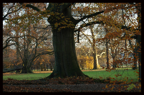 Kasteeltuin