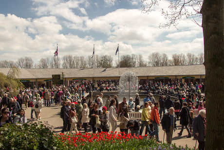 Keukenhof drukte