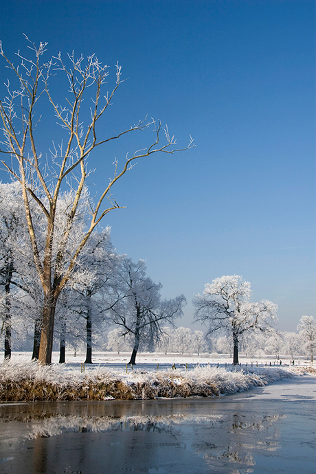 Winterlandschap