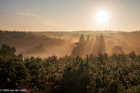 Ochtendnevel op de Brunsummerheide 