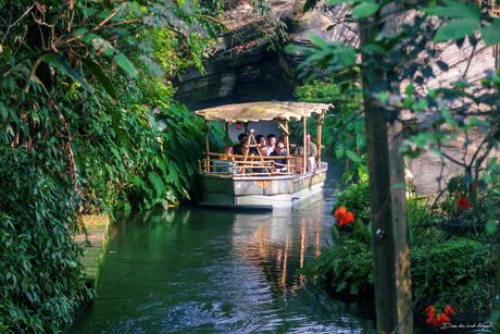 In een bootje door de jungle 
