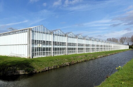 P1300410   Poeldijk Wenpad    Warenhuis  17 mrt 2026  