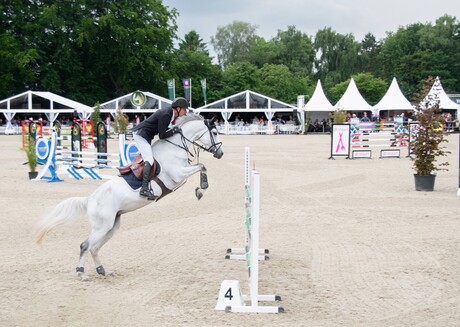 Paardensport