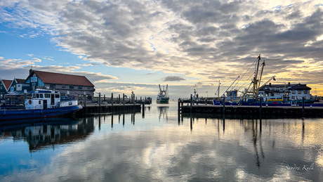 Haven Oudeschild Texel