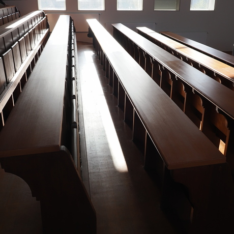 Zonder licht geen schaduw