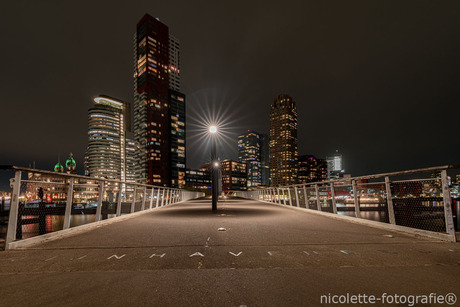 Rijnhavenbrug
