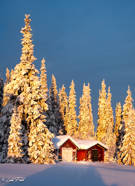 Snow Cabin