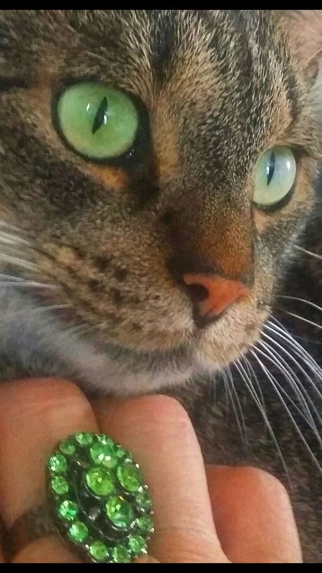 smaragdgroene ogen