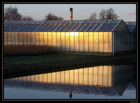 zon in de kas