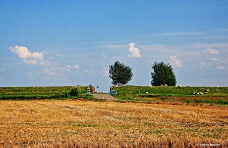 Door kijkje.