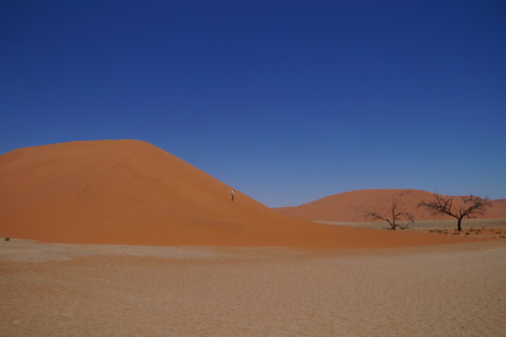Dune 45 Namibië Uitzicht