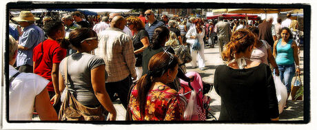 Op een Rotterdamse markt