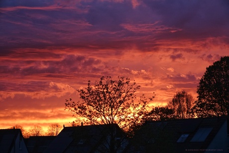 Zonsondergang met Saharazand in de lucht.