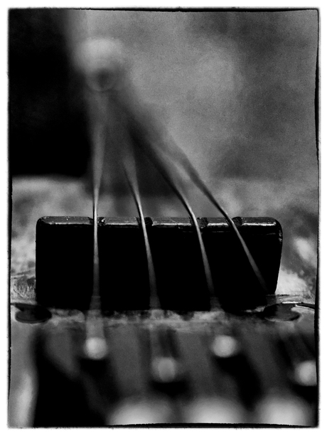 B&W strings...
