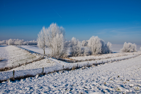 dijk in de sneeuw