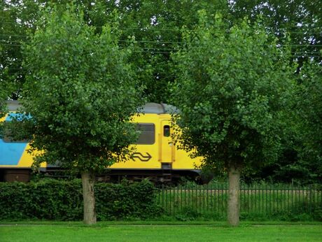 De trein naar Den Bosch