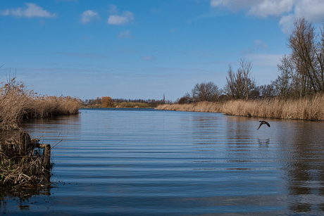 Uitzicht op Zoeterwoude