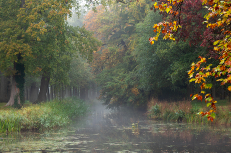 Oranjewoud Friesland