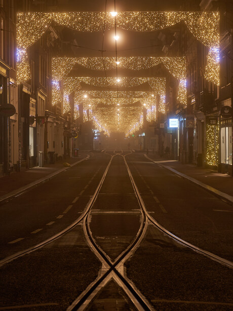 Verlicht de mistige nacht