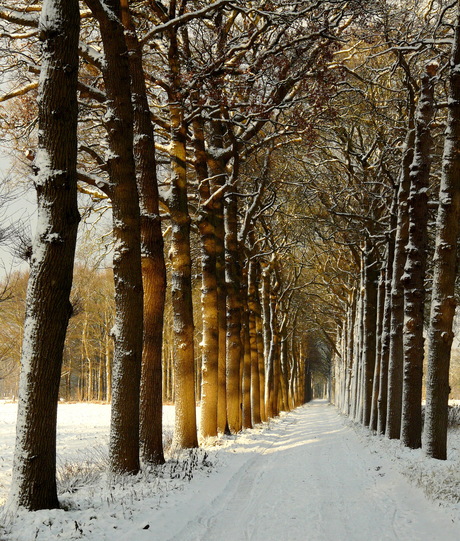 Uit het archief 2010