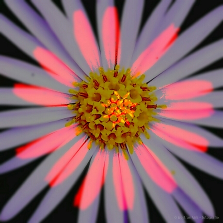 IMG_20150812_183912_wm