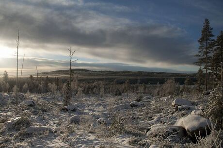 Winterlandschap Zweden