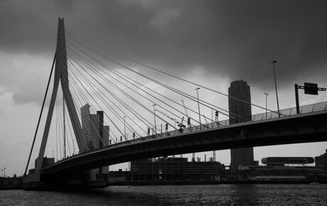 Erasmusbrug