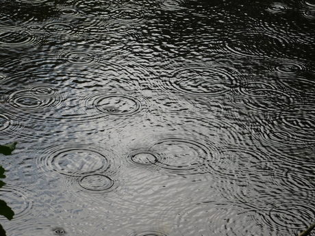 .....gedachten......vervagen......