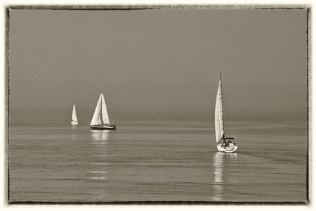 b&w sails